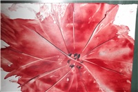 78b0a128-Picture 042.jpg